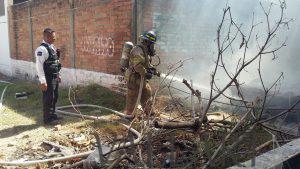 INCENDIO EN LA COLONIA EDUCACIÓN.