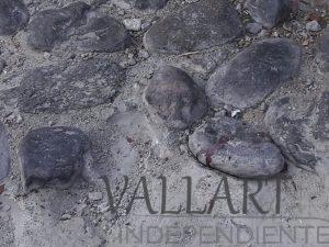 FALLECE POR FUERTE GOLPE AL BAJARSE DE UNA CAMIONETA.