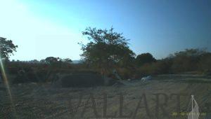 SOLO HIERBA Y ARBUSTOS DONDE SERÁ EL HOSPITAL DEL IMSS BAHÍA DE BANDERAS