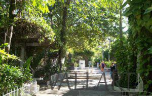 Ciudadanos califican como inseguro pasear por la isla del Río Cuale.