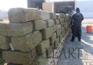 Incineran más de 4 toneladas de enervantes (video)