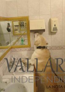 Policías aseguran drogas en fiesta de menores