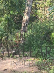 Reportan poste de la CFE 'a punto' de caer