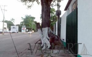 Sin presión, municipio no atiende denuncias ciudadanas 1 Sin presión, municipio no atiende denuncias ciudadanas