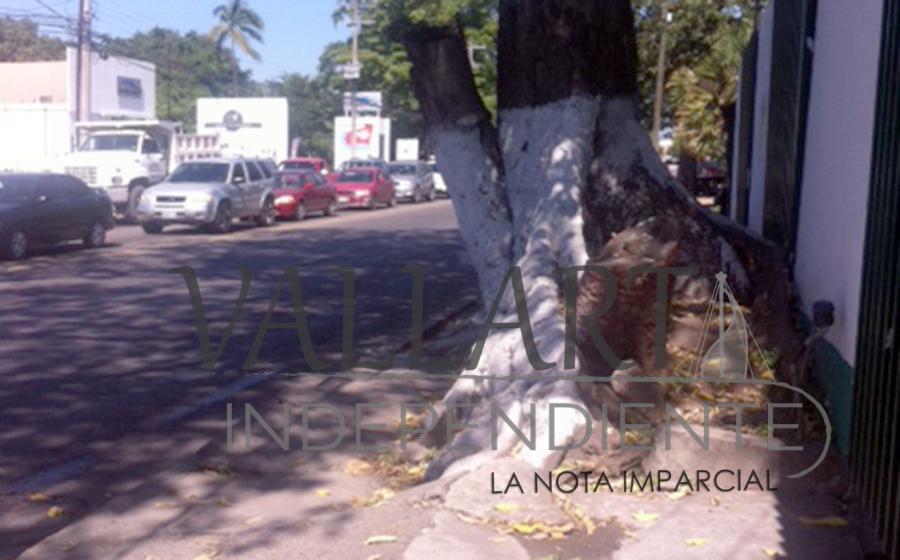 Desconoce Conalep que deba participar en rehabilitación de banqueta