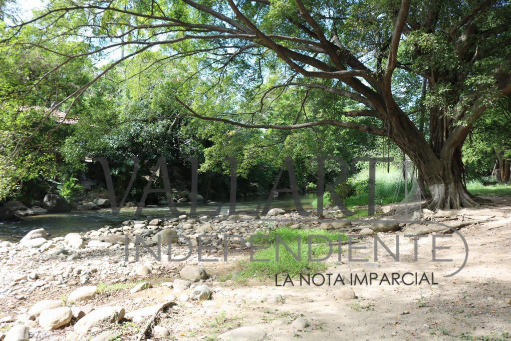 Callejoneada ‘Lo que la gente cuenta’ llega hoy a Puerto Vallarta