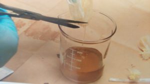 Traía desde Perú cocaína líquida en su cuerpo, ahora está tras las rejas