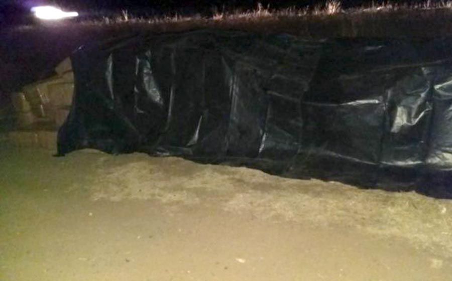 Incautan casi 2 toneladas de marihuana oculta bajo una lona