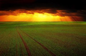 Si se acaba el TLCAN, estos sectores mexicanos serían los más afectados