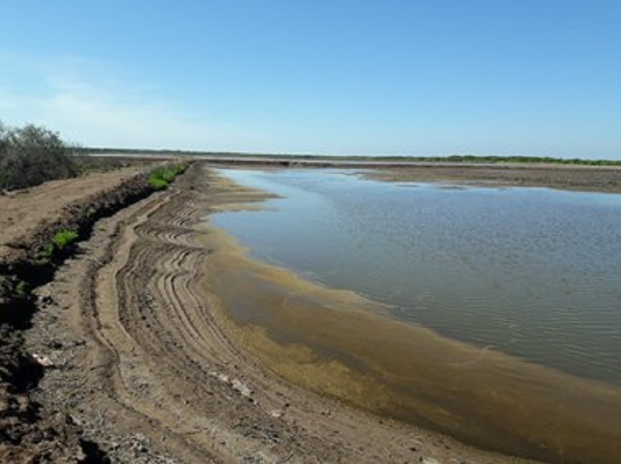 Clausura Profepa dos granjas acuícolas en Nayarit