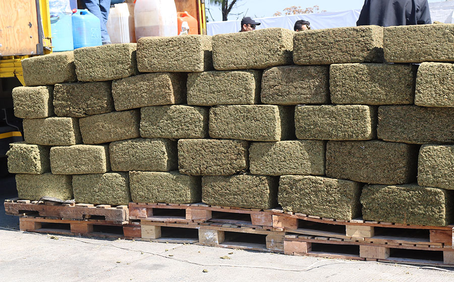 Incineran más de 9 toneladas de narcóticos en Jalisco