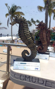 Selectivo nacional de aguas abiertas tendrá lugar en Vallarta