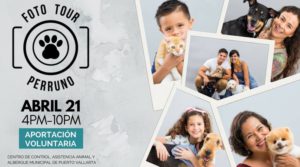 Fotografiando mascotas ayudarán al Centro de Control Animal