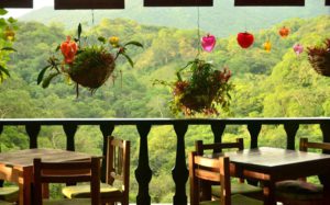 Jardín Botánico de Vallarta, entre los cinco mejores de Norteamérica