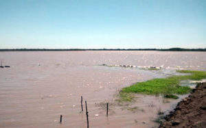 Granja acuícola daña 37 hectáreas de manglar en Nayarit 2 Granja acuícola daña 37 hectáreas de manglar en Nayarit