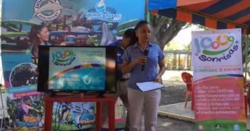 OFRECERÁ DOLPHIN DISCOVERY NADO CON DELFINES PARA APOYAR A SIETE ASOCIACIONES CON CAUSAS SOCIALES.