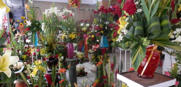 DENUNCIAN SOBRECOSTOS EN ESTABLECIMIENTOS VALLARTENSES, PROFECO NO EMITE RESPUESTA.