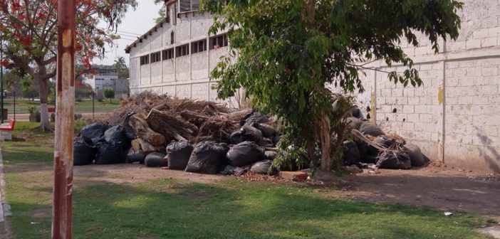Denuncian bodega de basura en la Alfonso Díaz Santos.