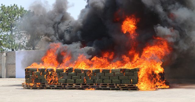 Incineran más de 4 toneladas de enervantes (video)