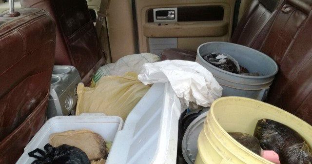 Asegura Sedena 176 kilos de goma de Opio en Nayarit