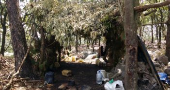 Descubren dos ‘campamento de adiestramiento’ del crimen organizado en Jalisco