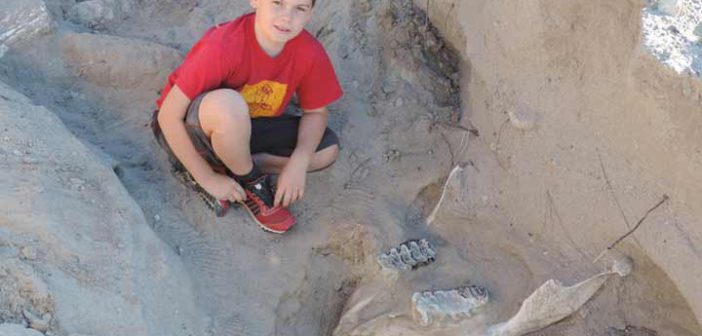 Niño tropieza con fósil de 1.2 millones de años