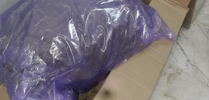 Aseguran granada de fragmentación en Puerto Vallarta