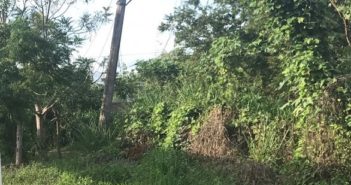 Reportan poste de la CFE 'a punto' de caer