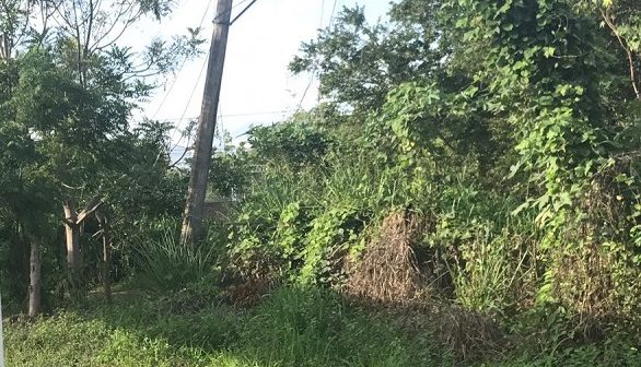 Reportan poste de la CFE 'a punto' de caer