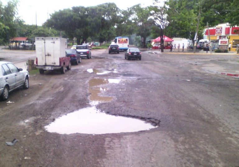 Baches ‘invaden’ las calles y camimos de la ciudad