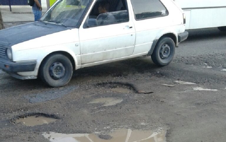 Baches ‘invaden’ las calles y camimos de la ciudad