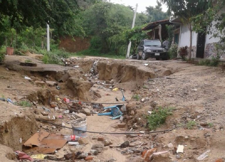 Baches ‘invaden’ las calles y camimos de la ciudad