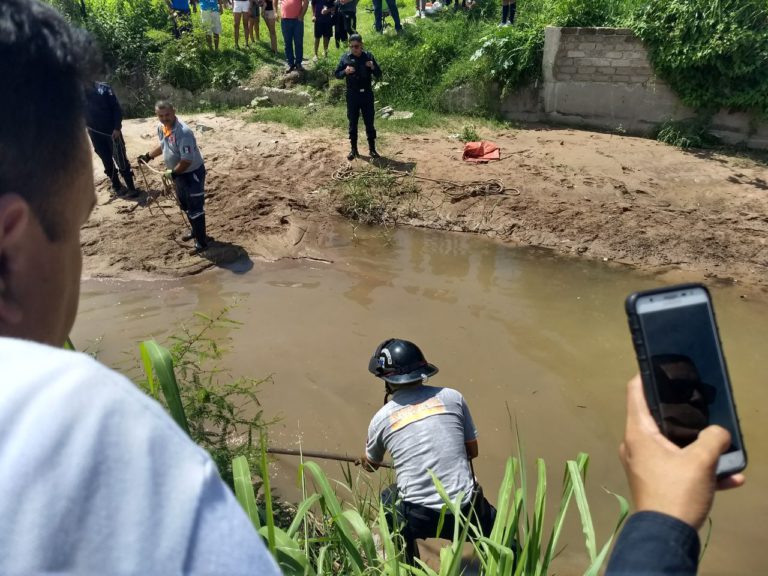 Atrapan a cocodrilo; descansaba en el río frente a la UMA