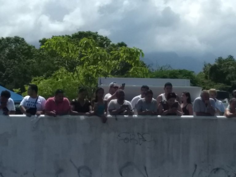 Atrapan a cocodrilo; descansaba en el río frente a la UMA