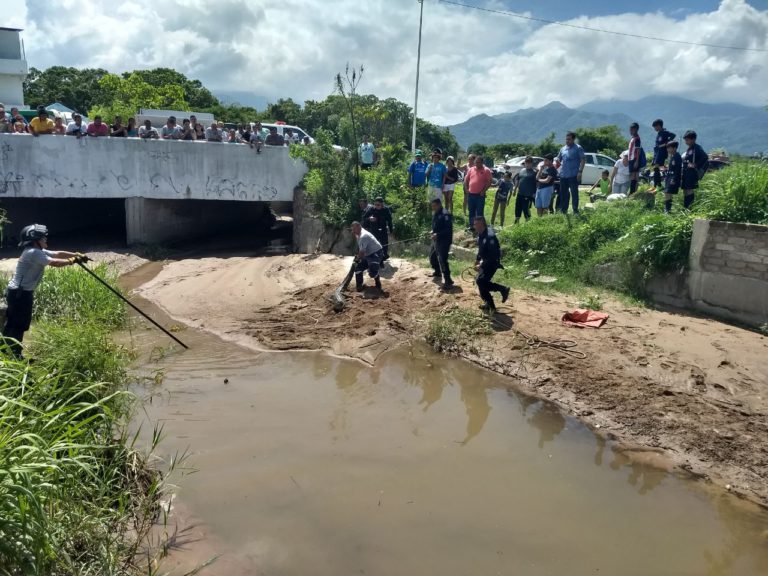 Atrapan a cocodrilo; descansaba en el río frente a la UMA