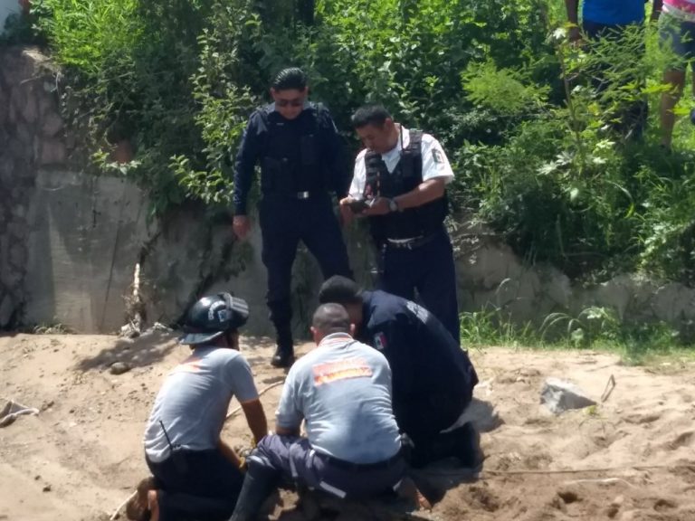 Atrapan a cocodrilo; descansaba en el río frente a la UMA
