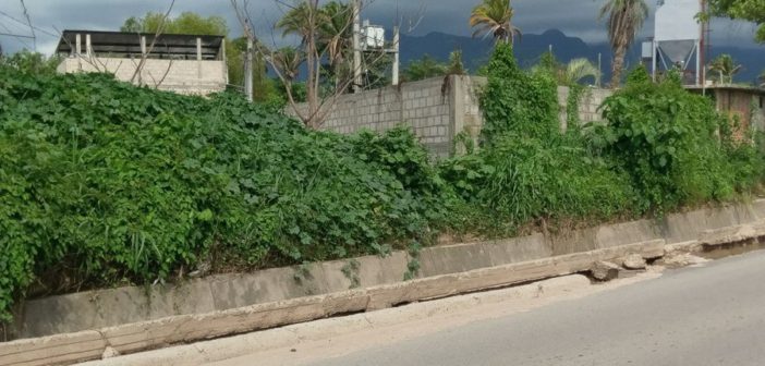 Desbordamiento del Arroyo de la Virgen causa daños a estructura urbana