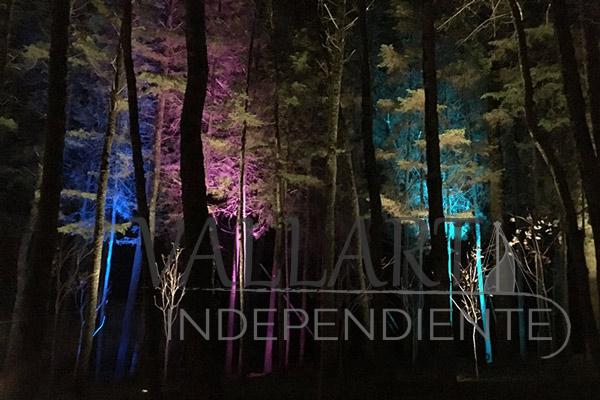 Puerto Vallarta compite por premio internacional de iluminación 7 Puerto Vallarta compite por premio internacional de iluminación