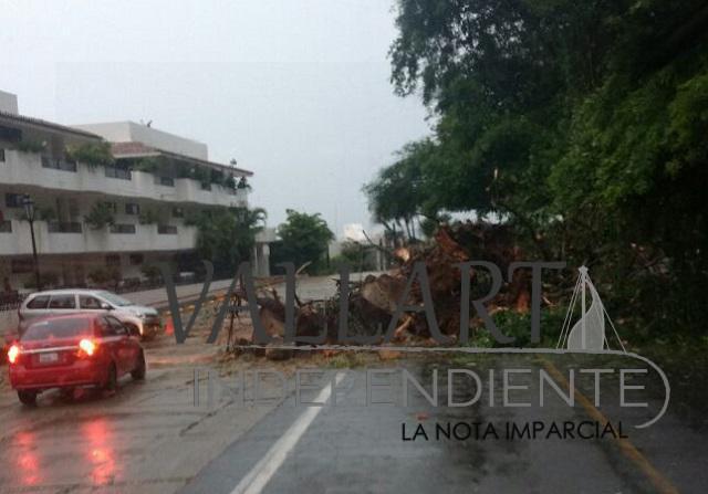 Lluvias causan estragos en Puerto Vallarta; Sedena y PC analizan la situación