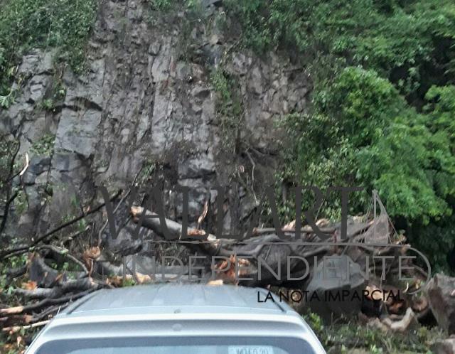 Lluvias causan estragos en Puerto Vallarta; Sedena y PC analizan la situación