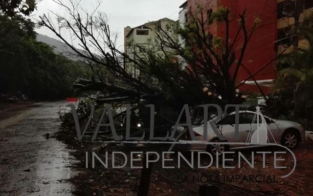 Lluvias causan estragos en Puerto Vallarta; Sedena y PC analizan la situación