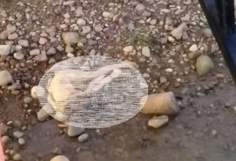 No llegó a dormir; la encuentran muerta