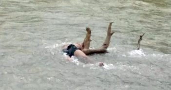 Flota cadáver en el río Pitillal