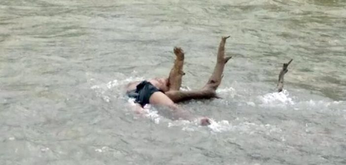 Flota cadáver en el río Pitillal