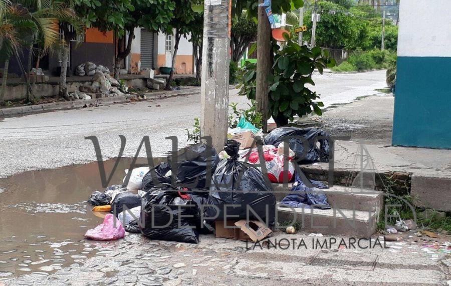 Denuncian vallartenses cúmulos de basura en la vía pública 4 Denuncian vallartenses cúmulos de basura en la vía pública