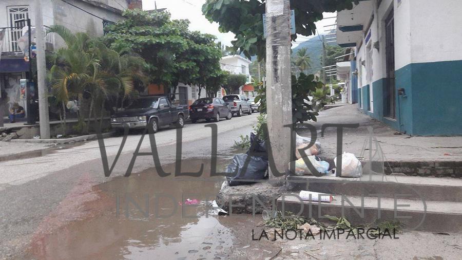 Denuncian vallartenses cúmulos de basura en la vía pública 6 Denuncian vallartenses cúmulos de basura en la vía pública