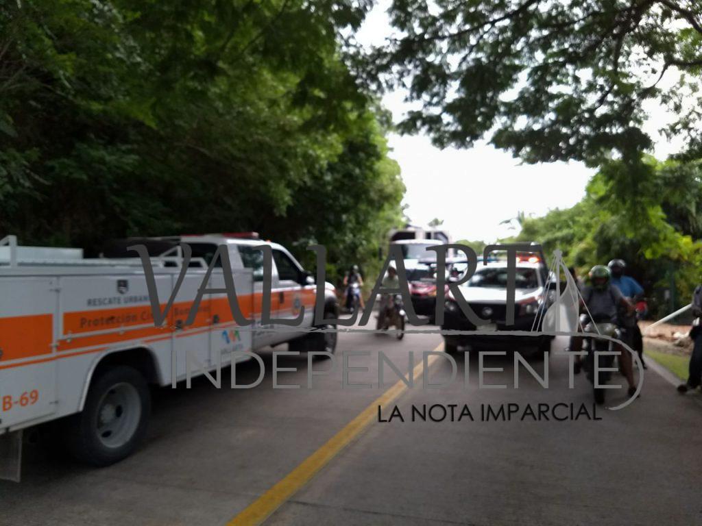 Choque frontal deja nueve lesionados