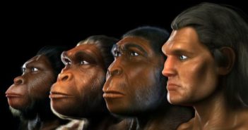 Realiza UNAM investigación sobre Homo Sapiens