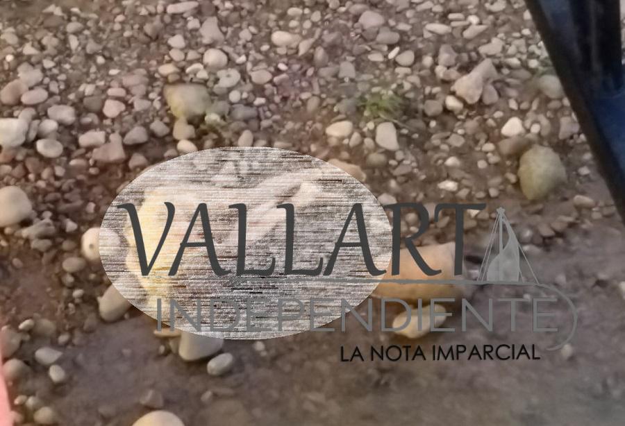 En poco más de un mes, tres mujeres han sido asesinadas en Puerto Vallarta