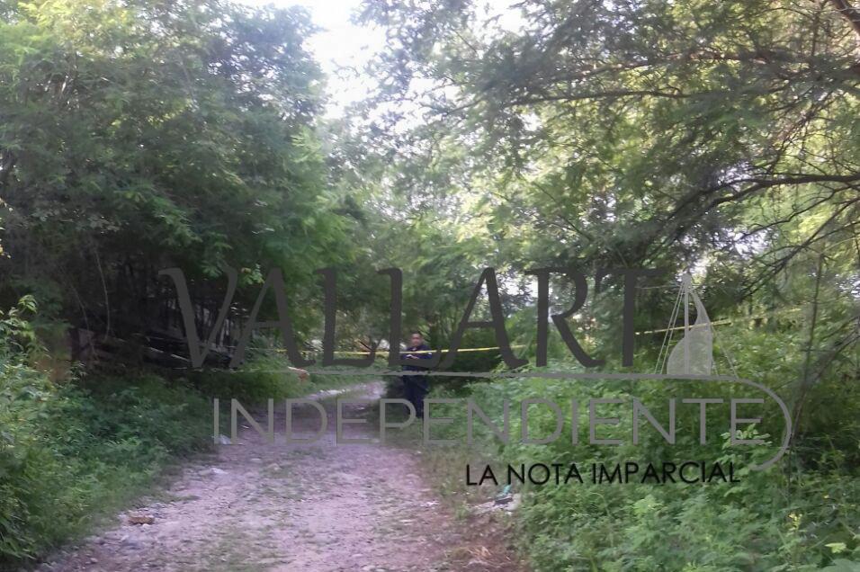 En poco más de un mes, tres mujeres han sido asesinadas en Puerto Vallarta